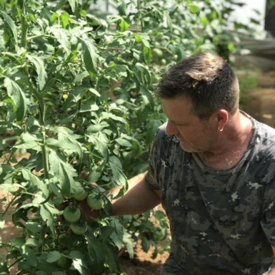 Fruits et légumes du producteur au consommateur à La Londe les Maures