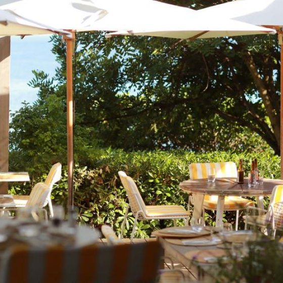 Le Bar du Soleil à Giens, Le provençal