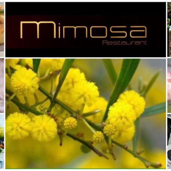 Restaurant Mimosa_Bormes-les-Mimosas