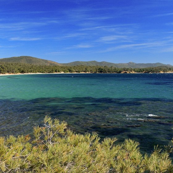 A wild and preserved coastline at La Londe les Maures in the Var in the Mediterranean Porte des Maures A wild and preserved coastline at La Londe les Maures in the Var in the Mediterranean Porte des Maures
