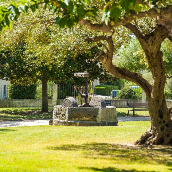 Jardin des Oliviers à La Londe les Maures Jardin des Oliviers à La Londe les Maures