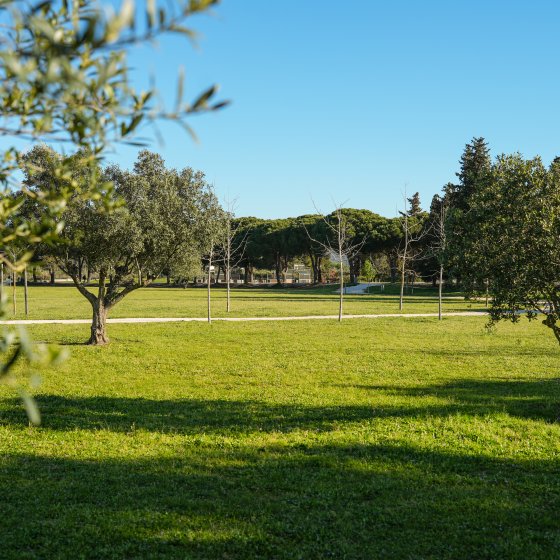 Parc de la Brûlade à La Londe les Maures Parc de la Brûlade