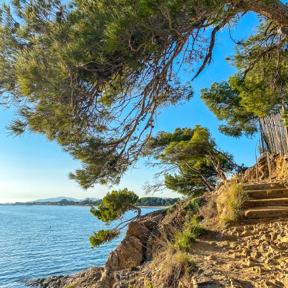 Plage du Pellegrin à La Londe les Maures Plage du Pellegrin à La Londe les Maures