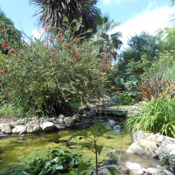 The remarkable garden of La Gravière in Pierrefeu du Var The remarkable garden of La Gravière in Pierrefeu du Var