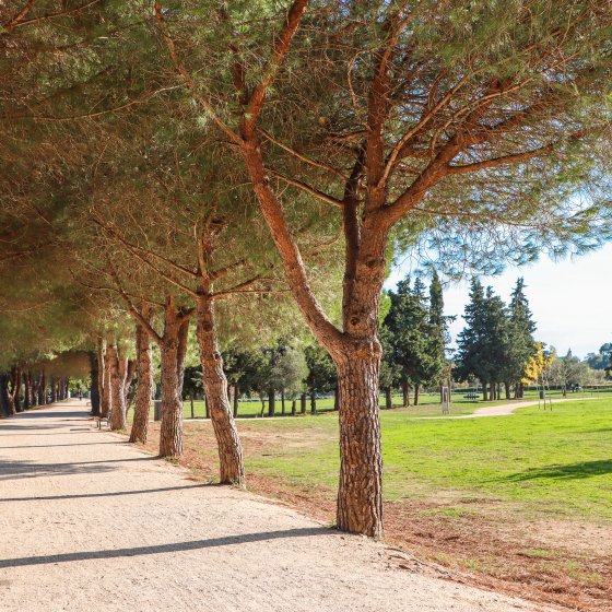 Promenade des Annamites à La Londe Promenade des Annamites à La Londe