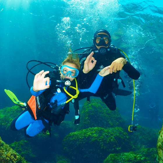 Scuba diving for children on the French Riviera in La Londe les Maures Family scuba diving in the Mediterranean Sea at La Londe les Maures