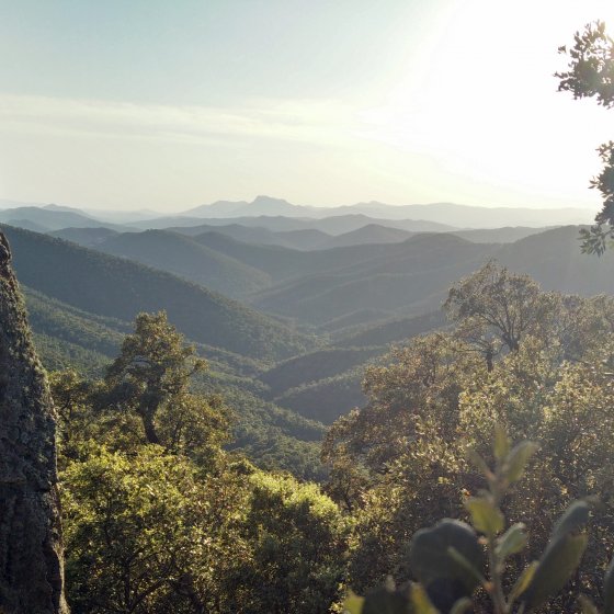 Hiking in the Massif des Maures in Collobrières Hiking in the Massif des Maures in Collobrières