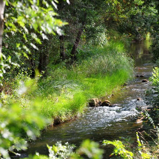 The Real Martin in Pierrefeu du Var The Real Martin in Pierrefeu du Var