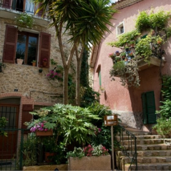 Street Roumpi Cul in Cuers Street Roumpi Cul in Cuers