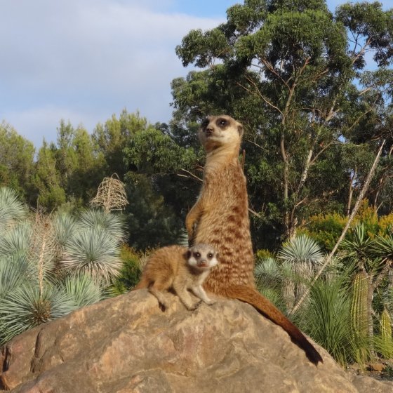 Jardin Zoologique Tropical à La Londe Jardin Zoologique Tropical à La Londe